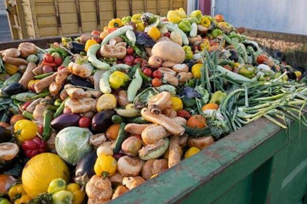 65 kg of food wasted. A habit to change: the five golden rules – Corriere.it